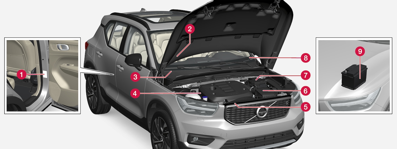 P6-1746-XC40-Type approval, labels, vehicles for Brasil