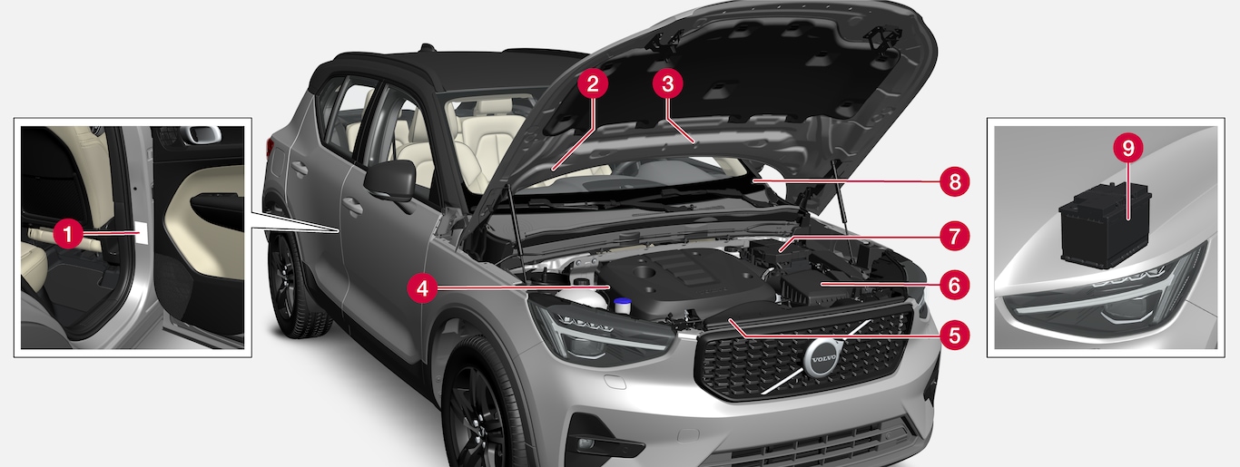 P6-2222-XC40-Type approval, labels, vehicles for Brasil