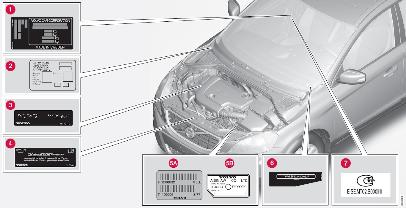 P3-1446-Type approval, labels, vehicles for Russia