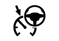 16w49 - P5 - Support site - Pilot Assist symbol
