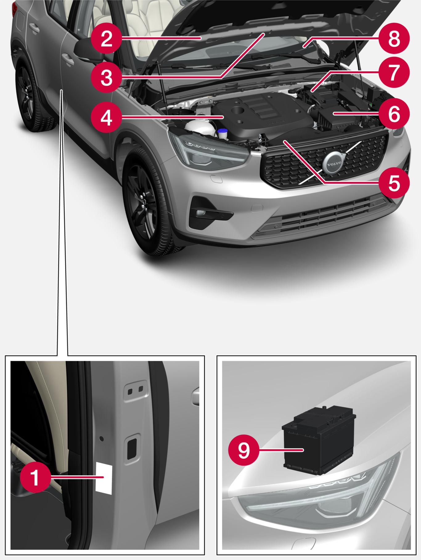 P6-2222-XC40-iCup-Type approval, labels, vehicles for Brasil