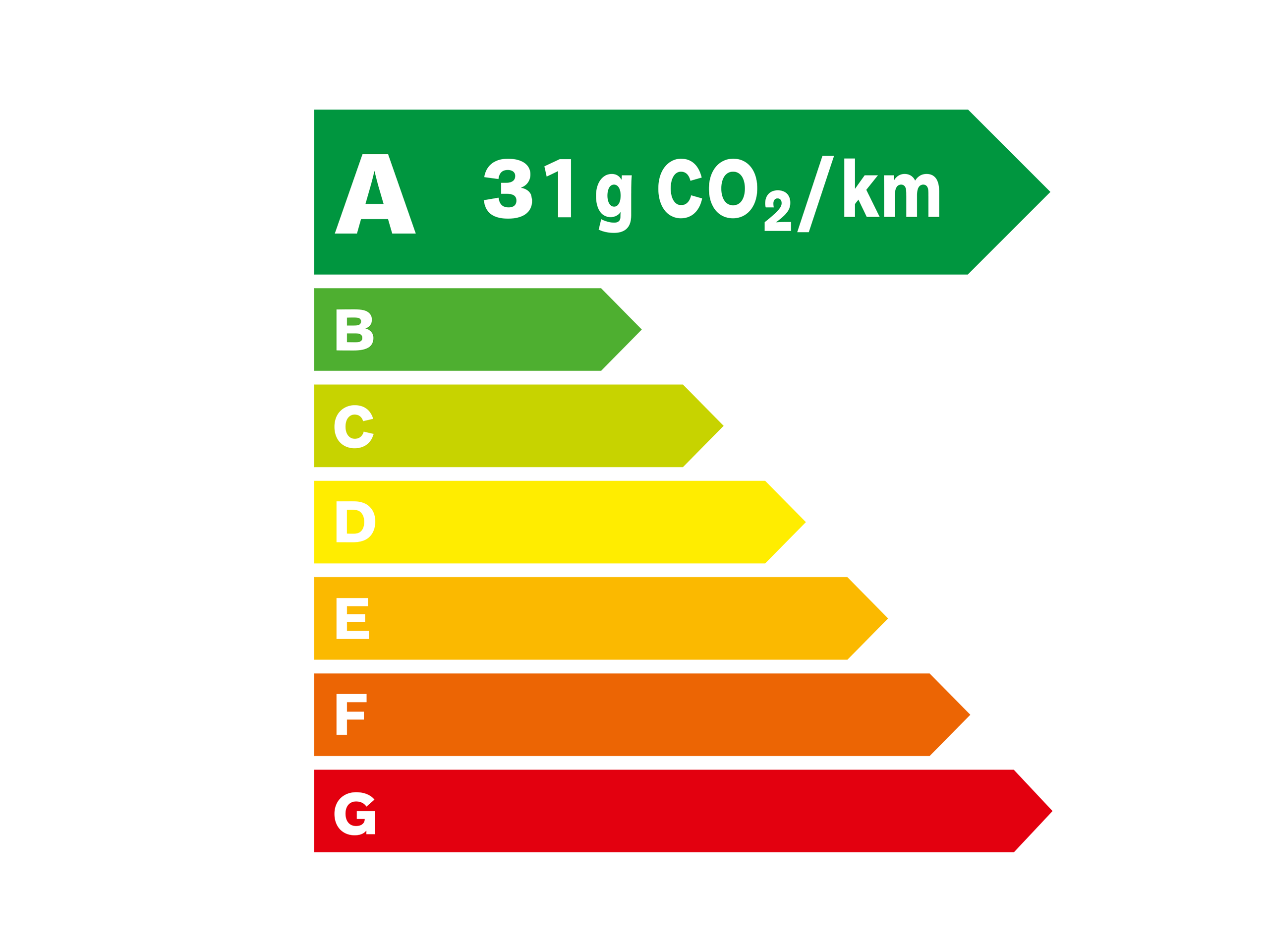 Ecolabel A 31g