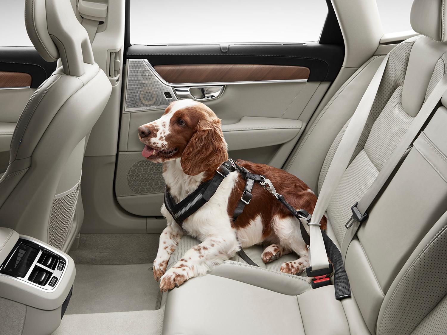 Animal de compagnie dans la voiture Volvo XC90