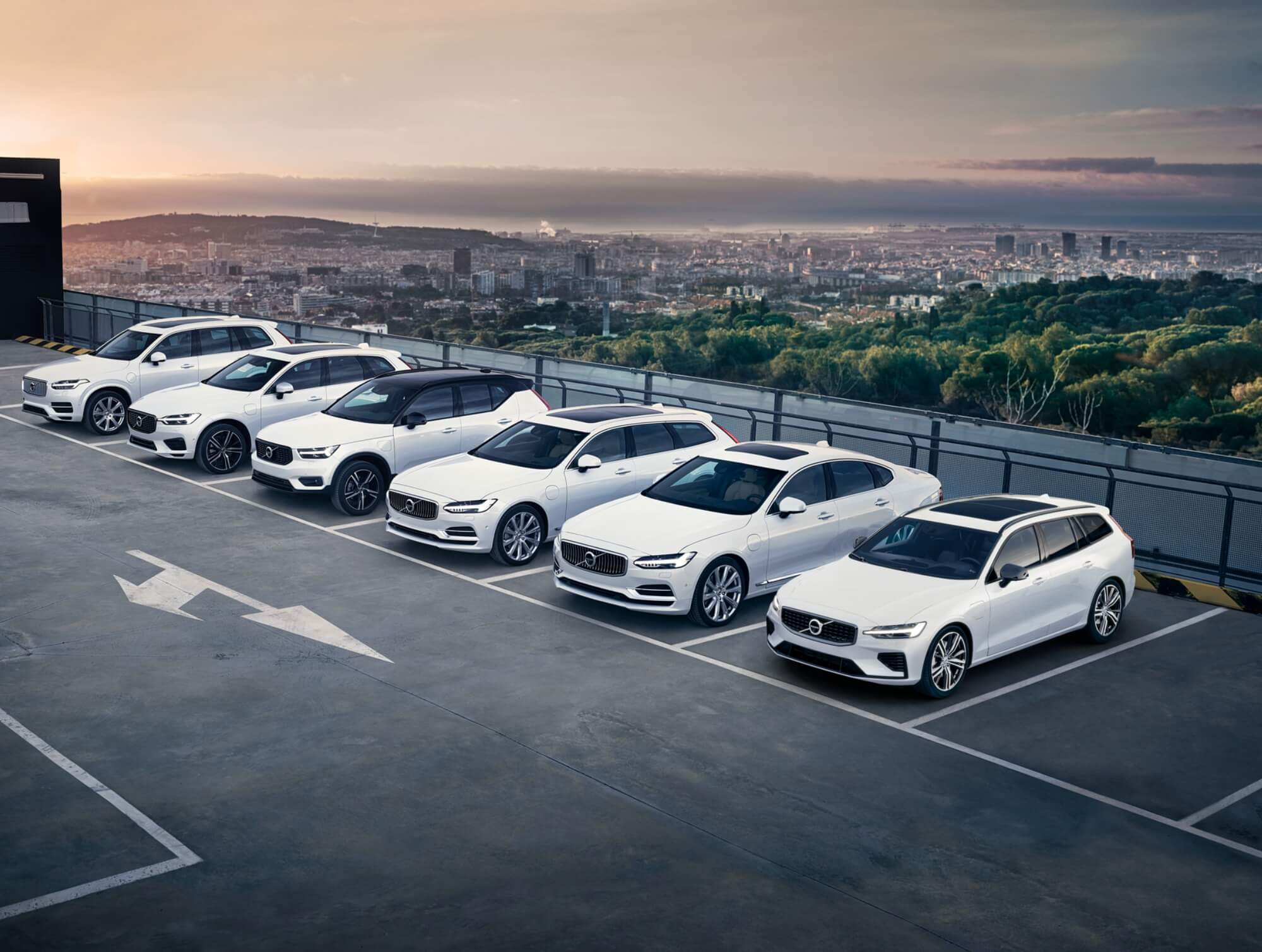 Mehrere weiße Volvo Fahrzeuge stehen nebeneinander auf dem Parkplatz.