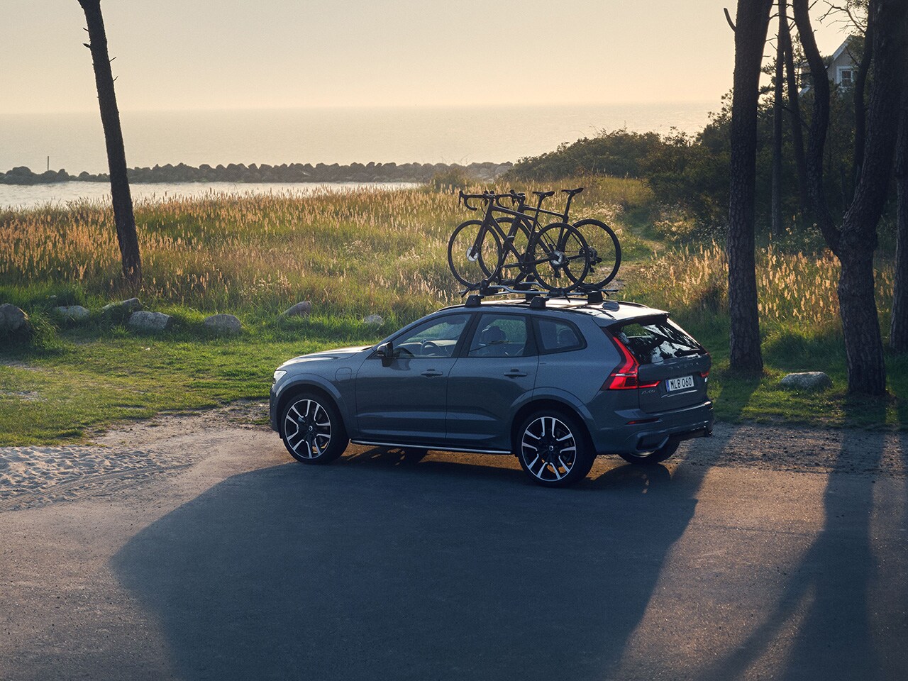 Volvo xc90 bike clearance rack roof